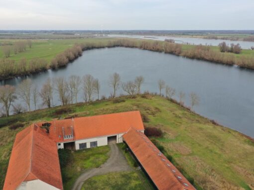 Blick über Wirtschaftsgebäude zum See