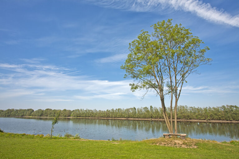 Aussen Blick auf eigenen See am Rhein